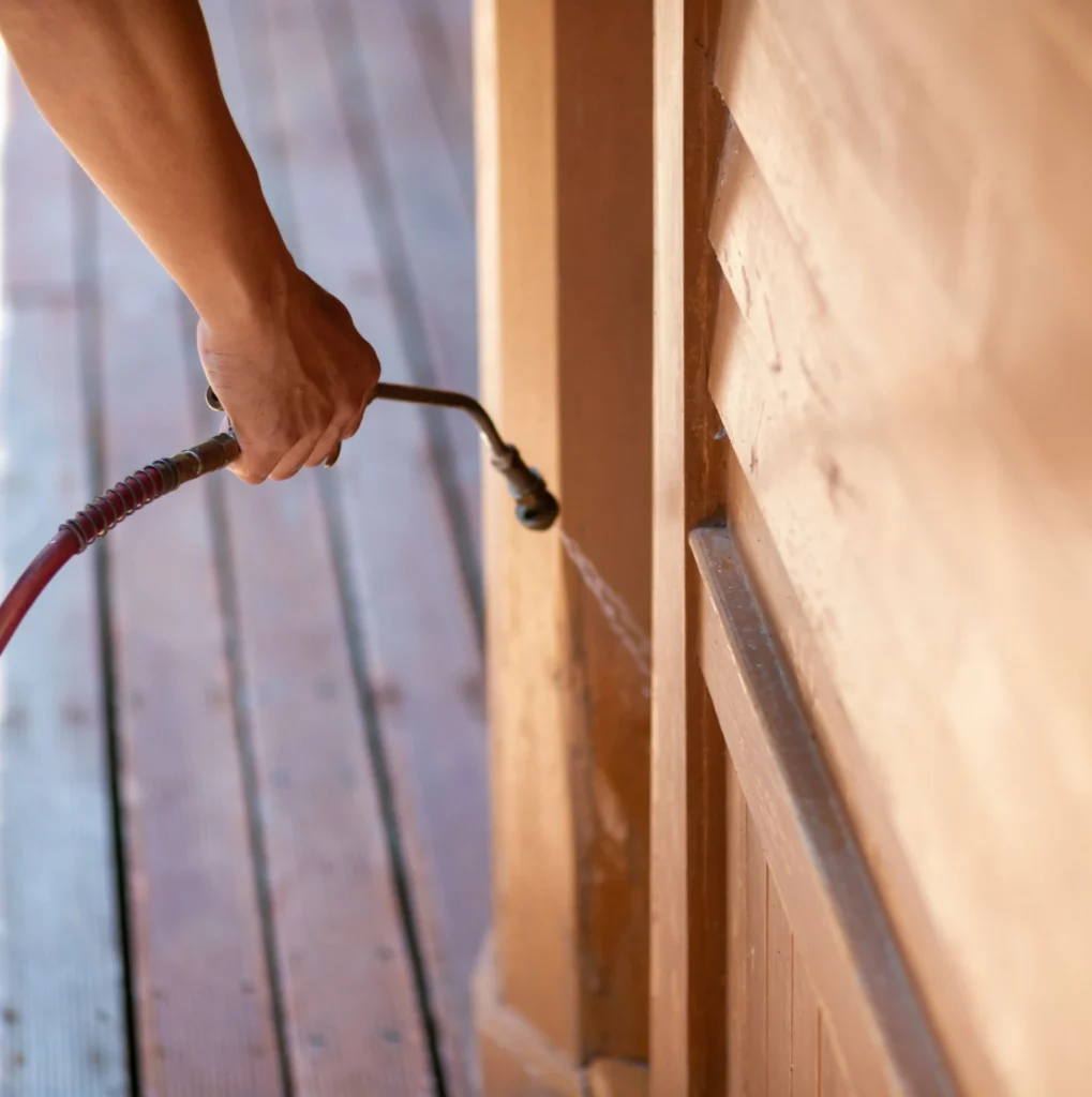 Trusted Pest Control - Long Branch Pest Control Pros | Long Branch, NJ